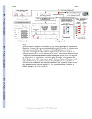 Fan et al. Page 11 
Figure 1. 
Molecular counting strategies for measuring the fetal genome noninvasively from maternal 
blood only. Genome-wide, chromosome length haplotypes of the mother are obtained using 
direct deterministic phasing. The inheritance of maternal haplotypes is revealed by 
sequencing maternal plasma DNA and summing the count of the alleles specific to each 
haplotype at heterozygous loci and determining the relative representation of the two alleles. 
The inherited paternal haplotypes are defined by the paternal specific alleles (i.e. those that 
are different from the maternal ones at positions where the mother is homozygous). The 
allelic identity at loci linked to the paternal specific alleles on the paternal haplotype can be 
imputed. Alternatively, molecular counting can be applied directly to count alleles at 
individual locus to determine fetal genotypes via targeted deep sequencing, such as exome 
enriched sequencing of maternal plasma DNA. For illustrative purpose, each locus is 
biallelic and carries the ‘A’ or ‘G’ alleles. 
Nature. Author manuscript; available in PMC 2013 February 01. 
NIH-PA Author Manuscript NIH-PA Author Manuscript NIH-PA Author Manuscript 
 