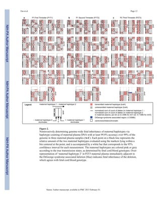 Fan et al. Page 12 
Figure 2. 
Noninvasively determining genome-wide fetal inheritance of maternal haplotypes via 
haplotype counting of maternal plasma DNA with at least 99.8% accuracy over 99% of the 
genome in three maternal plasma samples (A-C). Each point on a black line represents the 
relative amount of the two maternal haplotypes evaluated using the markers lying within a 
bin centered at the point, and is accompanied by a white bar that corresponds to the 95% 
confidence interval for each measurement. The maternal haplotypes are colored pink or grey 
according to the true transmission states, as determined by fetal cord blood genotypes. Over-representation 
of ‘maternal haplotype 2’ in P2T3 maternal plasma immediately adjacent to 
the DiGeorge syndrome associated deletion (blue) indicates fetal inheritance of the deletion, 
which agrees with fetal cord blood genotype. 
Nature. Author manuscript; available in PMC 2013 February 01. 
NIH-PA Author Manuscript NIH-PA Author Manuscript NIH-PA Author Manuscript 
 