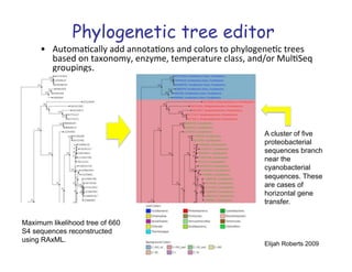 Introduction to Evolutionary Concepts and VMD/MultiSeq | PDF