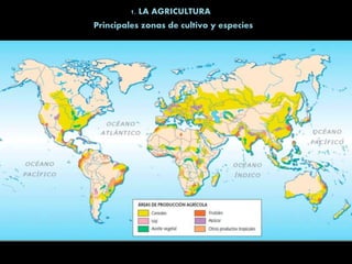 1. LA AGRICULTURA
Principales zonas de cultivo y especies
 