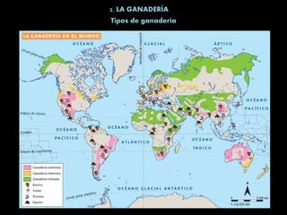 2. LA GANADERÍA
Tipos de ganadería
 