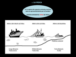 3. LA PESCA
Es la captura de especies animales marinas
para su aprovechamiento por el hombre
EXISTEN DIFERENTES TIPOS DE PESCA
 