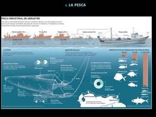3. LA PESCA
 