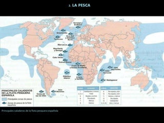 3. LA PESCA
Principales caladeros de la flota pesquera española
 