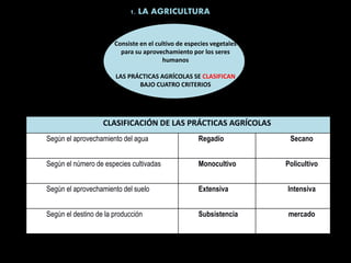 1. LA AGRICULTURA
CLASIFICACIÓN DE LAS PRÁCTICAS AGRÍCOLAS
Según el aprovechamiento del agua Regadío Secano
Según el número de especies cultivadas Monocultivo Policultivo
Según el aprovechamiento del suelo Extensiva Intensiva
Según el destino de la producción Subsistencia mercado
Consiste en el cultivo de especies vegetales
para su aprovechamiento por los seres
humanos
LAS PRÁCTICAS AGRÍCOLAS SE CLASIFICAN
BAJO CUATRO CRITERIOS
 