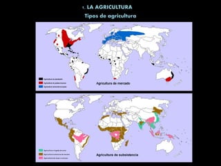 1. LA AGRICULTURA
Tipos de agricultura
 