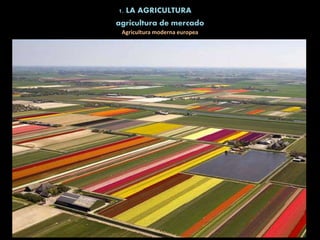 1. LA AGRICULTURA
Agricultura moderna europea
agricultura de mercado
 