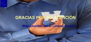 GRACIAS POR SU ATENCIÓN Mitzi Lourdes del C. Linares Vizcarra 