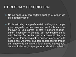 ETIOLOGIA Y DESCRIPCION
 No se sabe aún con certeza cuál es el origen de
este padecimiento.
 En la artrosis, la superficie del cartílago se rompe
y se desgasta, lo que provoca que los huesos se
muevan el uno contra el otro y genera fricción,
dolor, hinchazón y pérdida de movimiento en la
articulación. Con el tiempo, la articulación llega a
perder su forma original, y pueden crecer en ella
espolones. Además, pueden desprenderse trozos
de hueso y de cartílago y flotar dentro del espacio
de la articulación, lo que genera más dolor y daño.
 
