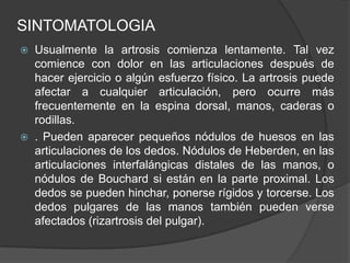 SINTOMATOLOGIA
 Usualmente la artrosis comienza lentamente. Tal vez
comience con dolor en las articulaciones después de
hacer ejercicio o algún esfuerzo físico. La artrosis puede
afectar a cualquier articulación, pero ocurre más
frecuentemente en la espina dorsal, manos, caderas o
rodillas.
 . Pueden aparecer pequeños nódulos de huesos en las
articulaciones de los dedos. Nódulos de Heberden, en las
articulaciones interfalángicas distales de las manos, o
nódulos de Bouchard si están en la parte proximal. Los
dedos se pueden hinchar, ponerse rígidos y torcerse. Los
dedos pulgares de las manos también pueden verse
afectados (rizartrosis del pulgar).
 