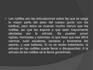  Las rodillas son las articulaciones sobre las que se carga
la mayor parte del peso del cuerpo (junto con los
tobillos), pero éstos se mueven mucho menos que las
rodillas, así que las expone a que sean mayormente
afectadas por la artrosis. Se pueden poner
rígidas, hinchadas y doloridas, lo que hace que sea difícil
caminar, subir escaleras, sentarse y levantarse del
asiento, y usar bañeras. Si no se recibe tratamiento, la
artrosis en las rodillas puede llevar a discapacidad. A la
artrosis de las rodillas se le llama gonartrosis.
 
