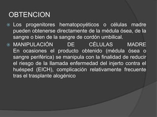 OBTENCION
 Los progenitores hematopoyéticos o células madre
pueden obtenerse directamente de la médula ósea, de la
sangre o bien de la sangre de cordón umbilical.
 MANIPULACIÓN DE CÉLULAS MADRE
En ocasiones el producto obtenido (médula ósea o
sangre periférica) se manipula con la finalidad de reducir
el riesgo de la llamada enfermedad del injerto contra el
huésped (EICH), complicación relativamente frecuente
tras el trasplante alogénico
 