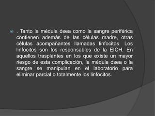 . Tanto la médula ósea como la sangre periférica
contienen además de las células madre, otras
células acompañantes llamadas linfocitos. Los
linfocitos son los responsables de la EICH. En
aquellos trasplantes en los que existe un mayor
riesgo de esta complicación, la médula ósea o la
sangre se manipulan en el laboratorio para
eliminar parcial o totalmente los linfocitos.
 