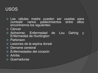 USOS
 Las células madre pueden ser usadas para
combatir varios padecimientos entre ellos
encontramos los siguientes:
 Cáncer
 Alzheimer, Enfermedad de Lou Gehrig y
Enfermedad de Huntington
 Parkinson
 Lesiones de la espina dorsal
 Derrame cerebral
 Enfermedades del corazón
 Artritis
 Quemaduras
 