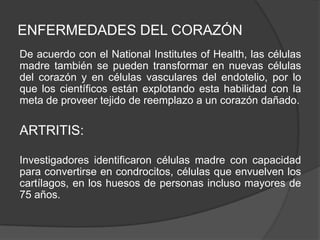 ENFERMEDADES DEL CORAZÓN
De acuerdo con el National Institutes of Health, las células
madre también se pueden transformar en nuevas células
del corazón y en células vasculares del endotelio, por lo
que los científicos están explotando esta habilidad con la
meta de proveer tejido de reemplazo a un corazón dañado.
ARTRITIS:
Investigadores identificaron células madre con capacidad
para convertirse en condrocitos, células que envuelven los
cartílagos, en los huesos de personas incluso mayores de
75 años.
 