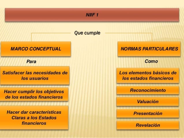 Niif 1 cs