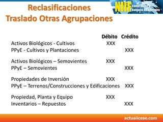 Reclasificaciones
Traslado Otras Agrupaciones
Débito Crédito
Activos Biológicos - Cultivos XXX
PPyE - Cultivos y Plantaciones XXX
Activos Biológicos – Semovientes XXX
PPyE – Semovientes XXX
Propiedades de Inversión XXX
PPyE – Terrenos/Construcciones y Edificaciones XXX
Propiedad, Planta y Equipo XXX
Inventarios – Repuestos XXX
 