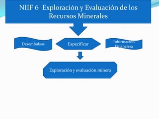 NIIF 6 Exploración y Evaluación de los
         Recursos Minerales


                                                Información
Desembolsos            Especificar
                                                 Financiera




              Exploración y evaluación minera
 
