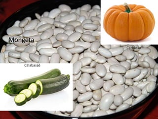 Carbassa
Calabassó
Mongeta
 