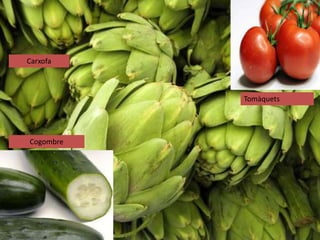 Cogombre
Tomàquets
Carxofa
 