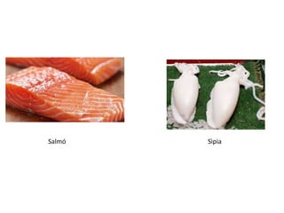Salmó Sìpia
 