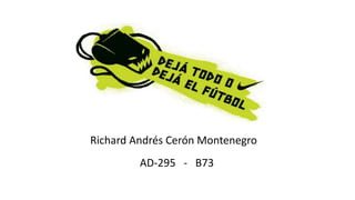 Richard Andrés Cerón Montenegro
AD-295 - B73
 