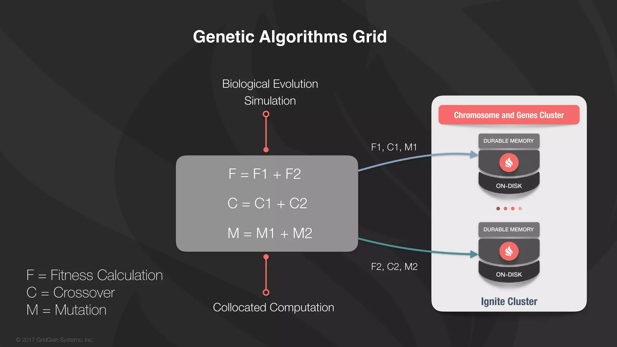 © 2017 GridGain Systems, Inc.
Genetic Algorithms Grid
DURABLE MEMORY
DURABLE MEMORY
Ignite Cluster
F2, C2, M2
F = F1 + F2
C = C1 + C2
Collocated Computation
Biological Evolution
Simulation
Chromosome and Genes Cluster
M = M1 + M2
F1, C1, M1
F = Fitness Calculation
C = Crossover
M = Mutation
 