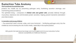 Comprehensive Review of Chronic Suppurative Otitis Media: Epidemiology ...