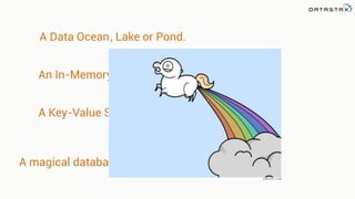A Data Ocean or Pond., Lake
An In-Memory Database
A Key-Value Store
A magical database unicorn that farts rainbows
 