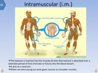Intramuscular (i.m.)
The toxicant is inserted into the muscles & then that toxicant is absorbed over a
extended period of time (minutes or hours) into the blood stream.
It acts as a reservoir .
When we were young we were given vaccine on shoulder muscles.
18
 