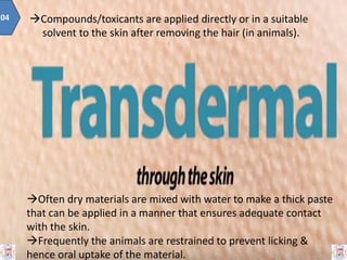 Compounds/toxicants are applied directly or in a suitable
solvent to the skin after removing the hair (in animals).
04
Often dry materials are mixed with water to make a thick paste
that can be applied in a manner that ensures adequate contact
with the skin.
Frequently the animals are restrained to prevent licking &
hence oral uptake of the material.
 