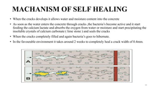 MACHANISM OF SELF HEALING
• When the cracks develops it allows water and moisture content into the concrete
• As soon as the water enters the concrete through cracks ,the bacteria’s become active and it start
feeding the calcium lactate and absorbs the oxygen from water or moisture and start precipitating the
insoluble crystals of calcium carbonate ( lime stone ) and seals the cracks
• When the cracks completely filled and again bacteria’s goes to hibernate.
• In the favourable environment it takes around 2 weeks to completely heal a crack width of 0.4mm.
10
 