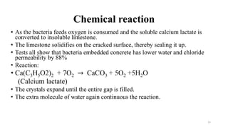 Chemical reaction
• As the bacteria feeds oxygen is consumed and the soluble calcium lactate is
converted to insoluble limestone.
• The limestone solidifies on the cracked surface, thereby sealing it up.
• Tests all show that bacteria embedded concrete has lower water and chloride
permeability by 88%
• Reaction:
• Ca(C3H5O2)2 + 7O2 → CaCO3 + 5O2 +5H2O
(Calcium lactate)
• The crystals expand until the entire gap is filled.
• The extra molecule of water again continuous the reaction.
15
 