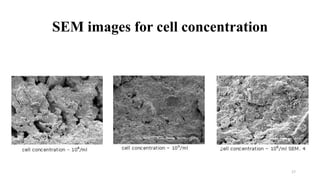 SEM images for cell concentration
17
 