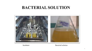 BACTERIAL SOLUTION
9
Incubator Bacterial solution
 