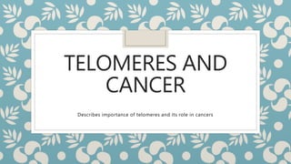 TELOMERES AND
CANCER
Describes importance of telomeres and its role in cancers
 