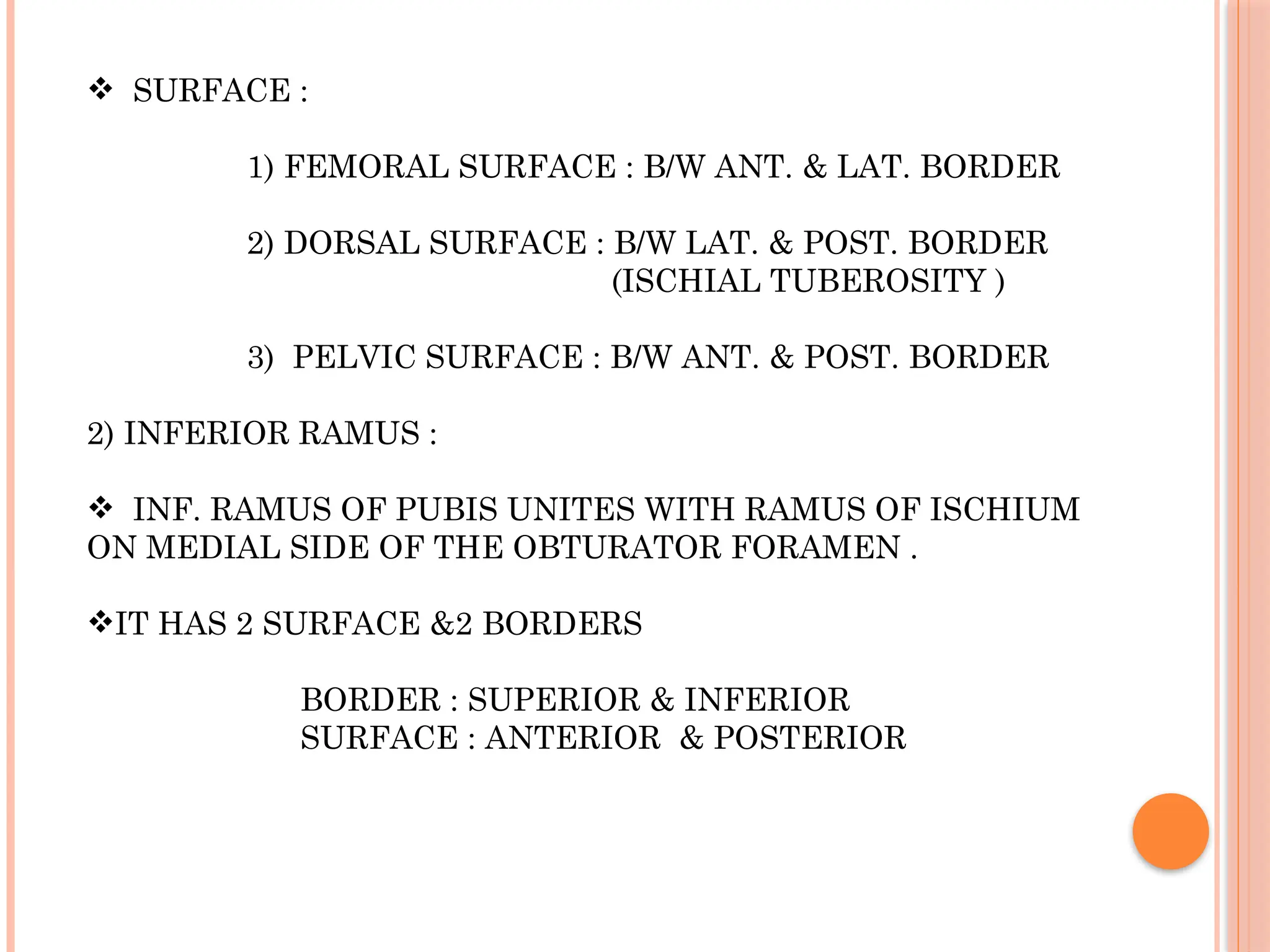 Hip bone ppt anatomy Mbbs Bams osteology | PDF