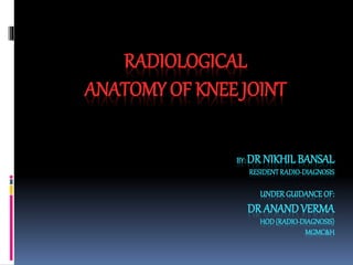 BY: DR NIKHIL BANSAL
RESIDENTRADIO-DIAGNOSIS
UNDERGUIDANCEOF:
DR ANANDVERMA
HOD(RADIO-DIAGNOSIS)
MGMC&H
RADIOLOGICAL
ANATOMY OF KNEE JOINT
 