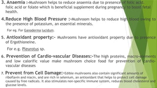 3. Anaemia :-Mushroom helps to reduce anaemia due to presence of folic acid.
folic acid or folate which is beneficial supplement during pregnancy to boost fetal
health.
4.Reduce High Blood Pressure :-Mushroom helps to reduce high blood owing to
the presence of potassium, an essential minerals.
For eg. For Ganoderma lucidum.
5. Antioxidant property:- Mushrooms have antioxidant property due to presence
of Ergothioneine.
For e.g. Pleurotus sp.
6. Prevention of Cardio-vascular Diseases:-The high proteins, macro-elements
and low calorific value make mushroom choice food for prevention of cardio-
vascular diseases
7. Prevent from Cell Damage:-Edible mushrooms also contain significant amounts of
riboflavin and niacin, and are rich in selenium, an antioxidant that helps to protect cell damage
caused by free radicals. It also stimulates non-specific immune system, reduces blood cholesterol and
glucose levels.
 