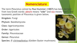 Nomenclature
The term Pleurotus coined by Paul Kummer (1887) has been derived
from two Greek words: pleure means “side” and ous means “ear”. The
taxonomic position of Pleurotus is given below.
Kingdom: Fungi
Phylum: Basidiomycota
Class: Agaricomycetes
Order: Agaricales
Family: Pleurotaceae
Genus: Pleurotus
Species: P. citrinopileatus (Golden Oyster mushroom)
 