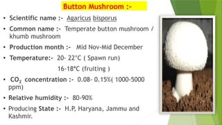 Button Mushroom :-
• Scientific name :- Agaricus bisporus
• Common name :- Temperate button mushroom /
khumb mushroom
• Production month :- Mid Nov-Mid December
• Temperature:- 20- 22°C ( Spawn run)
16-18°C (fruiting )
• CO2 concentration :- 0.08- 0.15%( 1000-5000
ppm)
• Relative humidity :- 80-90%
• Producing State :- H.P, Haryana, Jammu and
Kashmir.
 
