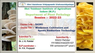 Shri Vaishnav Institute of Agriculture
Indore (M.P.)
Department of Plant Pathology
Course Title :- Mushroom Cultivation and
Spawn Production Technology
Session :- 2022-23
Course Code :- BAG803
Submitted By :-
Nikhil Patidar
1915BSCH4AG05107
VIII semester(4th year)
Submitted To :-
Module Incharge
Dr. J. K. Patidar
ELP coordinator :-
Dr. P.K. Prajapati
 