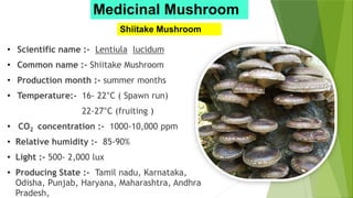 Medicinal Mushroom
Shiitake Mushroom
• Scientific name :- Lentiula lucidum
• Common name :- Shiitake Mushroom
• Production month :- summer months
• Temperature:- 16- 22°C ( Spawn run)
22-27°C (fruiting )
• CO2 concentration :- 1000-10,000 ppm
• Relative humidity :- 85-90%
• Light :- 500- 2,000 lux
• Producing State :- Tamil nadu, Karnataka,
Odisha, Punjab, Haryana, Maharashtra, Andhra
Pradesh,
 