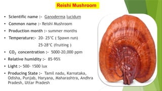 Reishi Mushroom
• Scientific name :- Ganoderma lucidum
• Common name :- Reishi Mushroom
• Production month :- summer months
• Temperature:- 20- 25°C ( Spawn run)
25-28°C (fruiting )
• CO2 concentration :- 5000-20,000 ppm
• Relative humidity :- 85-95%
• Light :- 500- 1500 lux
• Producing State :- Tamil nadu, Karnataka,
Odisha, Punjab, Haryana, Maharashtra, Andhra
Pradesh, Uttar Pradesh
 