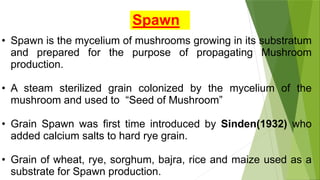 Spawn
• Spawn is the mycelium of mushrooms growing in its substratum
and prepared for the purpose of propagating Mushroom
production.
• A steam sterilized grain colonized by the mycelium of the
mushroom and used to “Seed of Mushroom”
• Grain Spawn was first time introduced by Sinden(1932) who
added calcium salts to hard rye grain.
• Grain of wheat, rye, sorghum, bajra, rice and maize used as a
substrate for Spawn production.
 