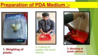 1. Weighting of
potato.
2. Cutting of
potato into small
pieces.
3. Washing of
potato pieces.
Preparation of PDA Medium :-
 