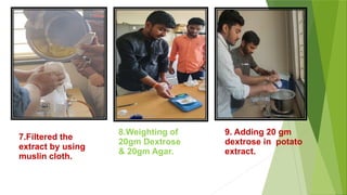 7.Filtered the
extract by using
muslin cloth.
8.Weighting of
20gm Dextrose
& 20gm Agar.
9. Adding 20 gm
dextrose in potato
extract.
 