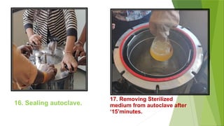 17. Removing Sterilized
medium from autoclave after
‘15’minutes.
16. Sealing autoclave.
 