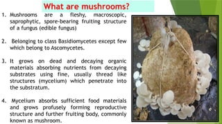 1. Mushrooms are a fleshy, macroscopic,
saprophytic, spore-bearing fruiting structure
of a fungus (edible fungus)
2. Belonging to class Basidiomycetes except few
which belong to Ascomycetes.
3. It grows on dead and decaying organic
materials absorbing nutrients from decaying
substrates using fine, usually thread like
structures (mycelium) which penetrate into
the substratum.
4. Mycelium absorbs sufficient food materials
and grows profusely forming reproductive
structure and further fruiting body, commonly
known as mushroom.
What are mushrooms?
 