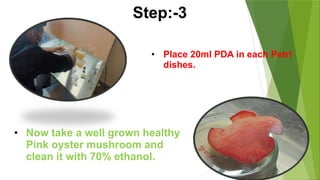 • Now take a well grown healthy
Pink oyster mushroom and
clean it with 70% ethanol.
• Place 20ml PDA in each Petri
dishes.
Step:-3
 